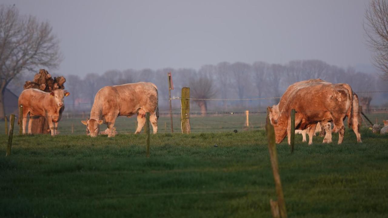 Bij Bronckhorst *